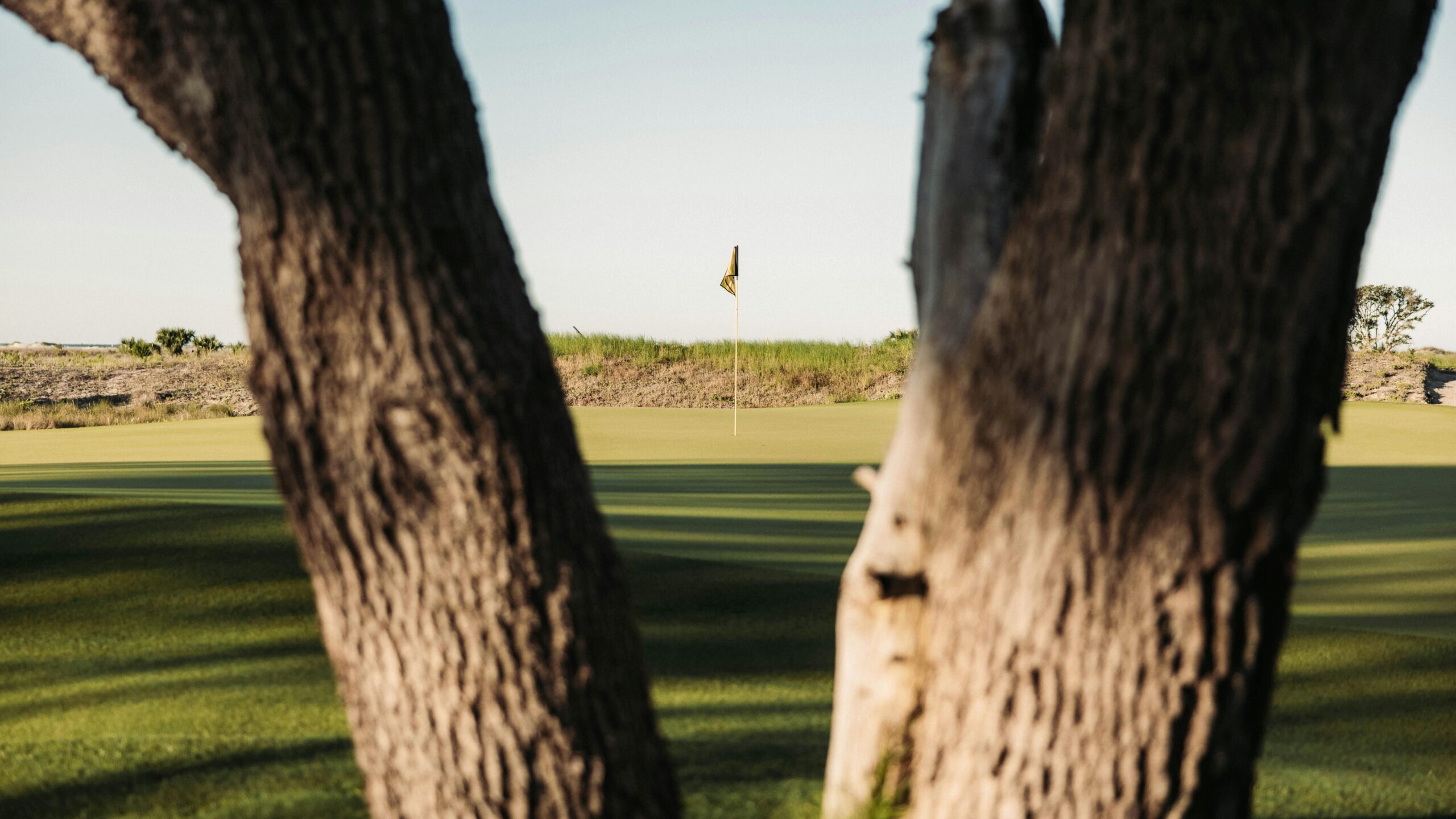 A serene view of a golf course on Kiawah Island, framed by tree trunks.