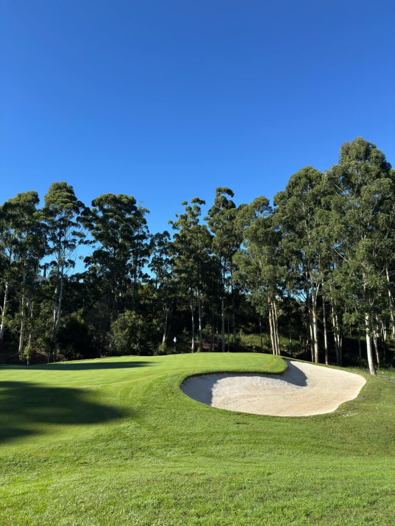 Serene golf course scene with lush greenery and trees under a clear blue sky.