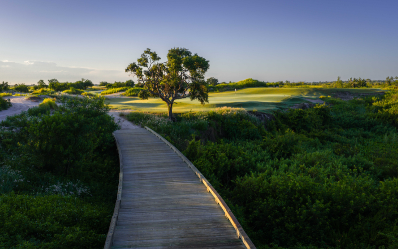 Walking path through native landscape at Streamsong